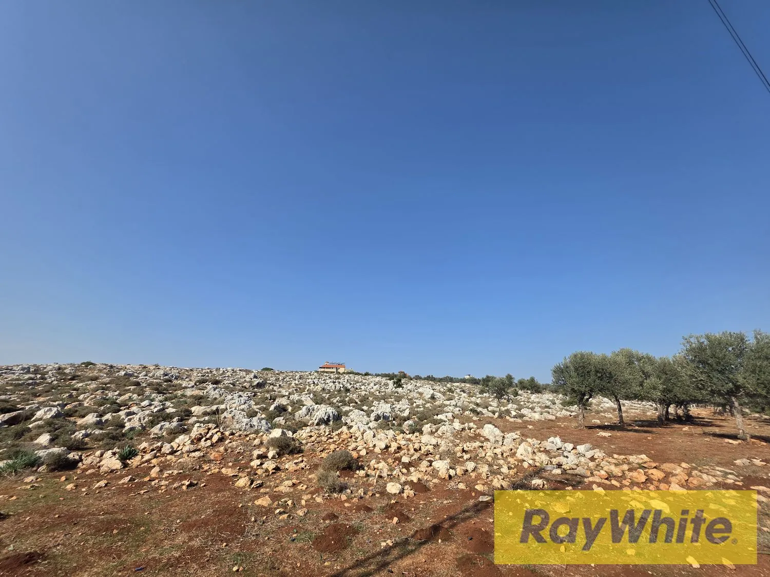 Land For Sale In Nakhleh Koura — الصورة 4