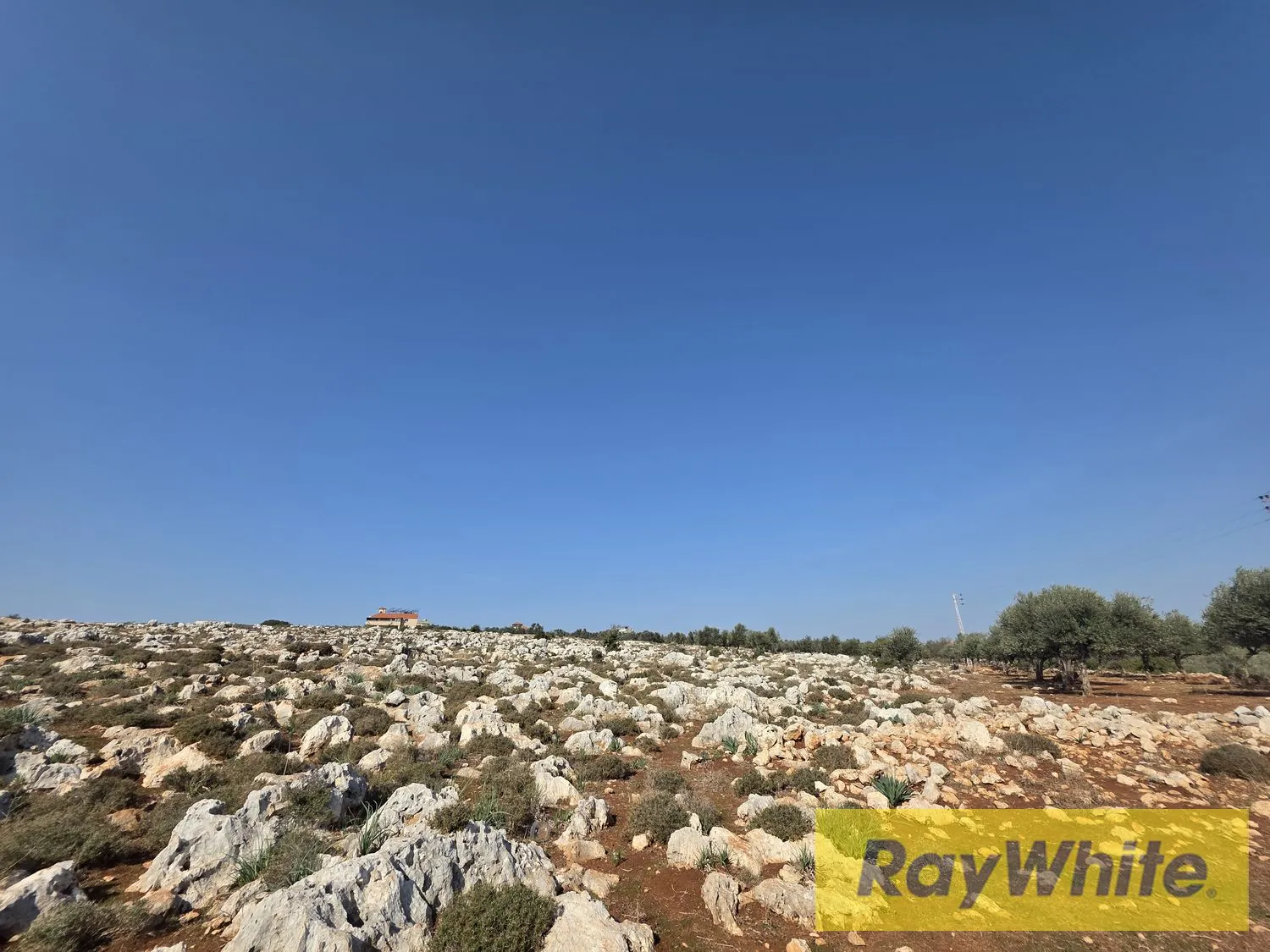 Land For Sale In Nakhleh Koura — الصورة 5