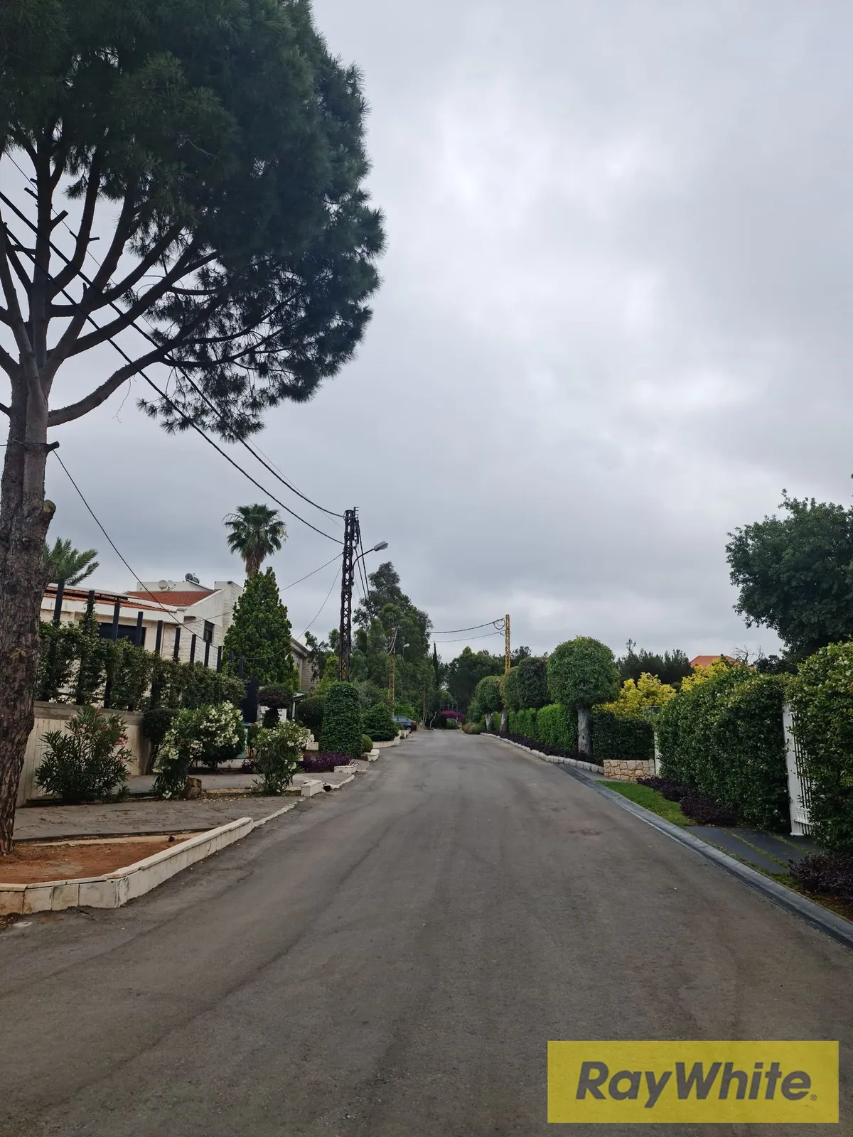 Land For Sale In Amchit Jbeil — الصورة 2