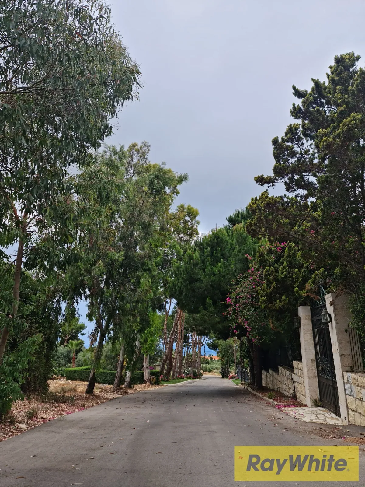 Land For Sale In Amchit Jbeil — الصورة 3