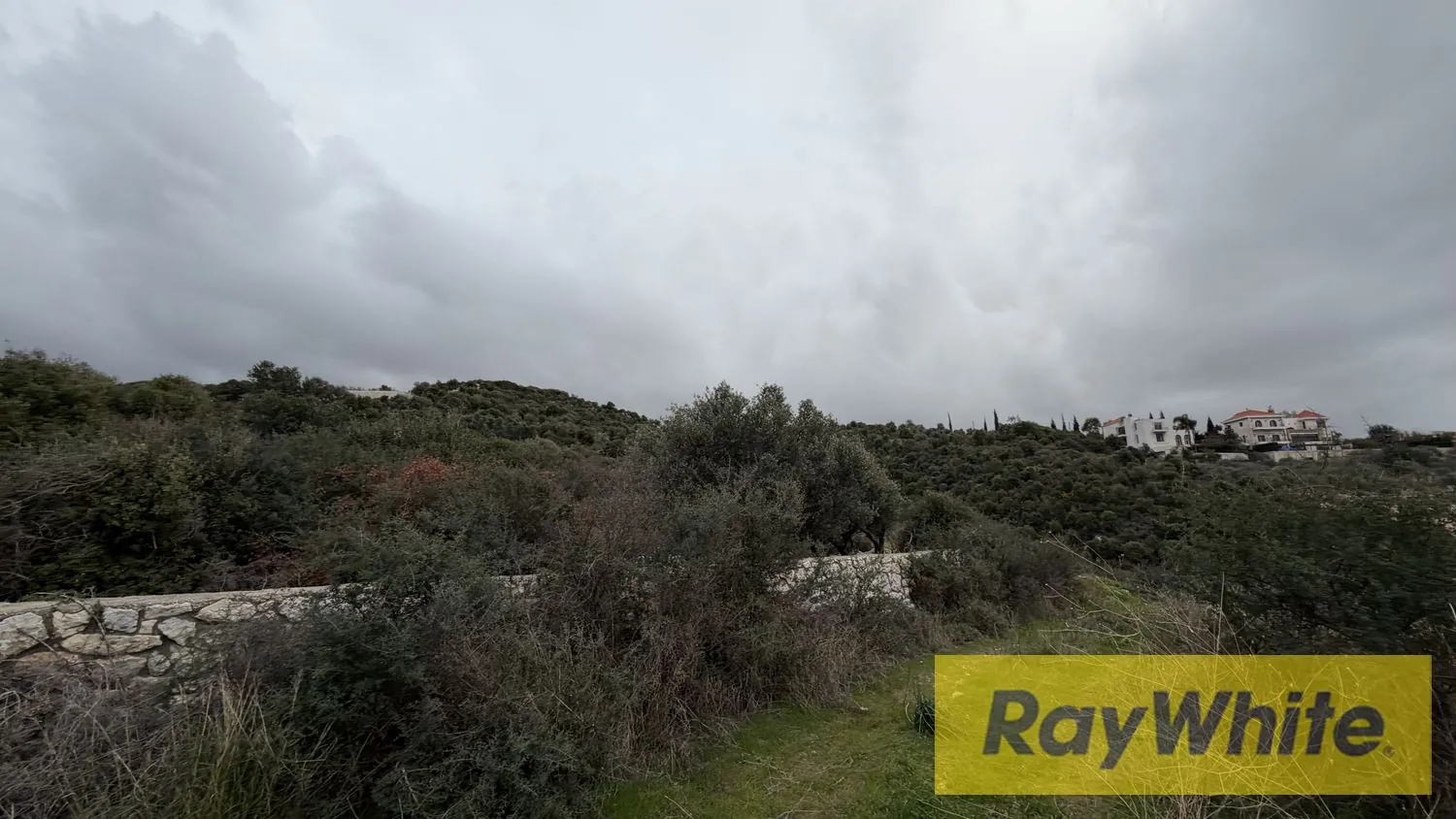 Land For Sale In Monsef Jbeil — الصورة 5