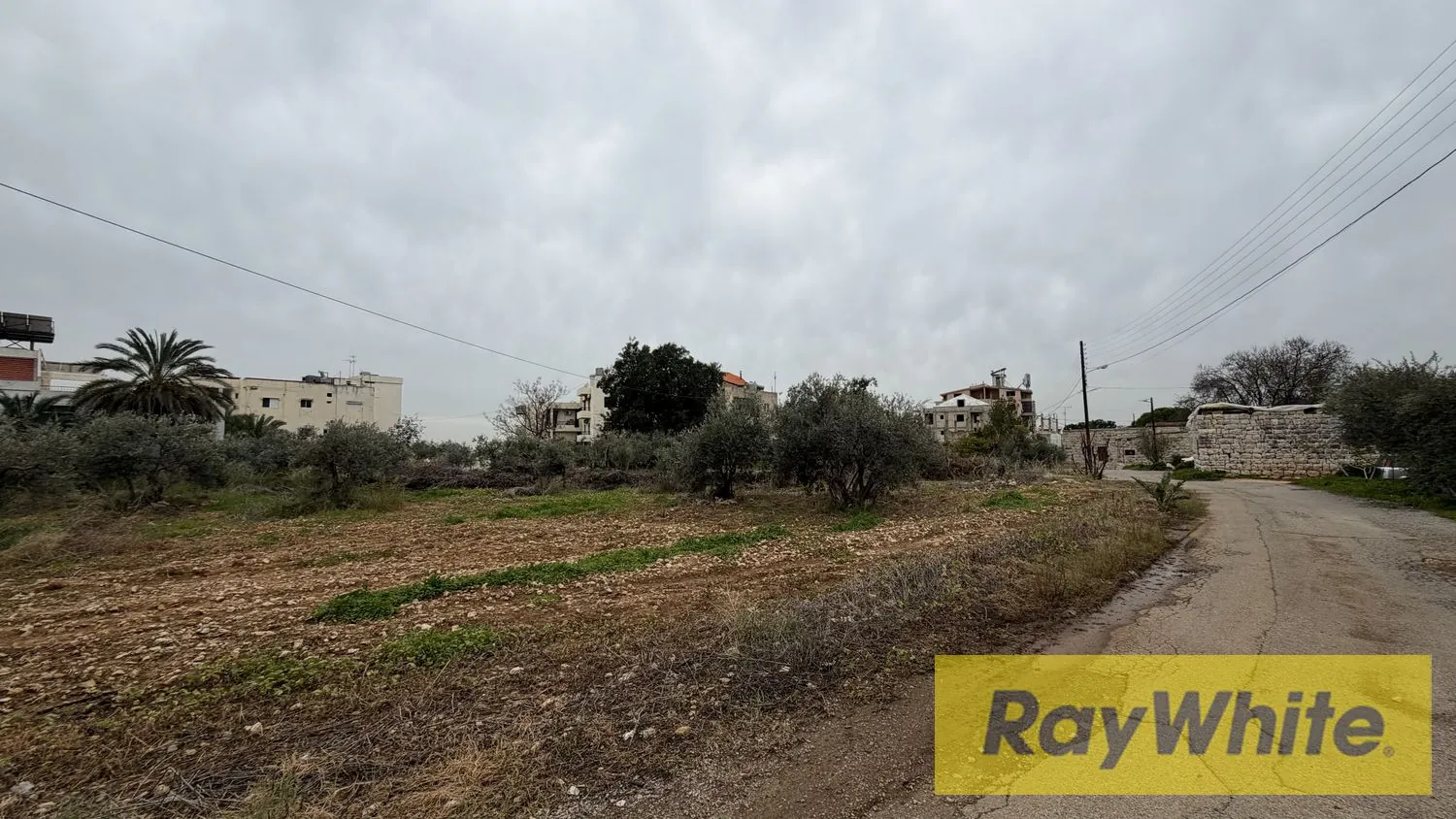 Land For Sale In Amchit Jbeil — photo 2