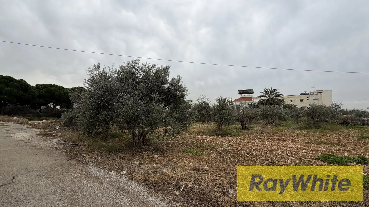 Land For Sale In Amchit Jbeil — photo 3