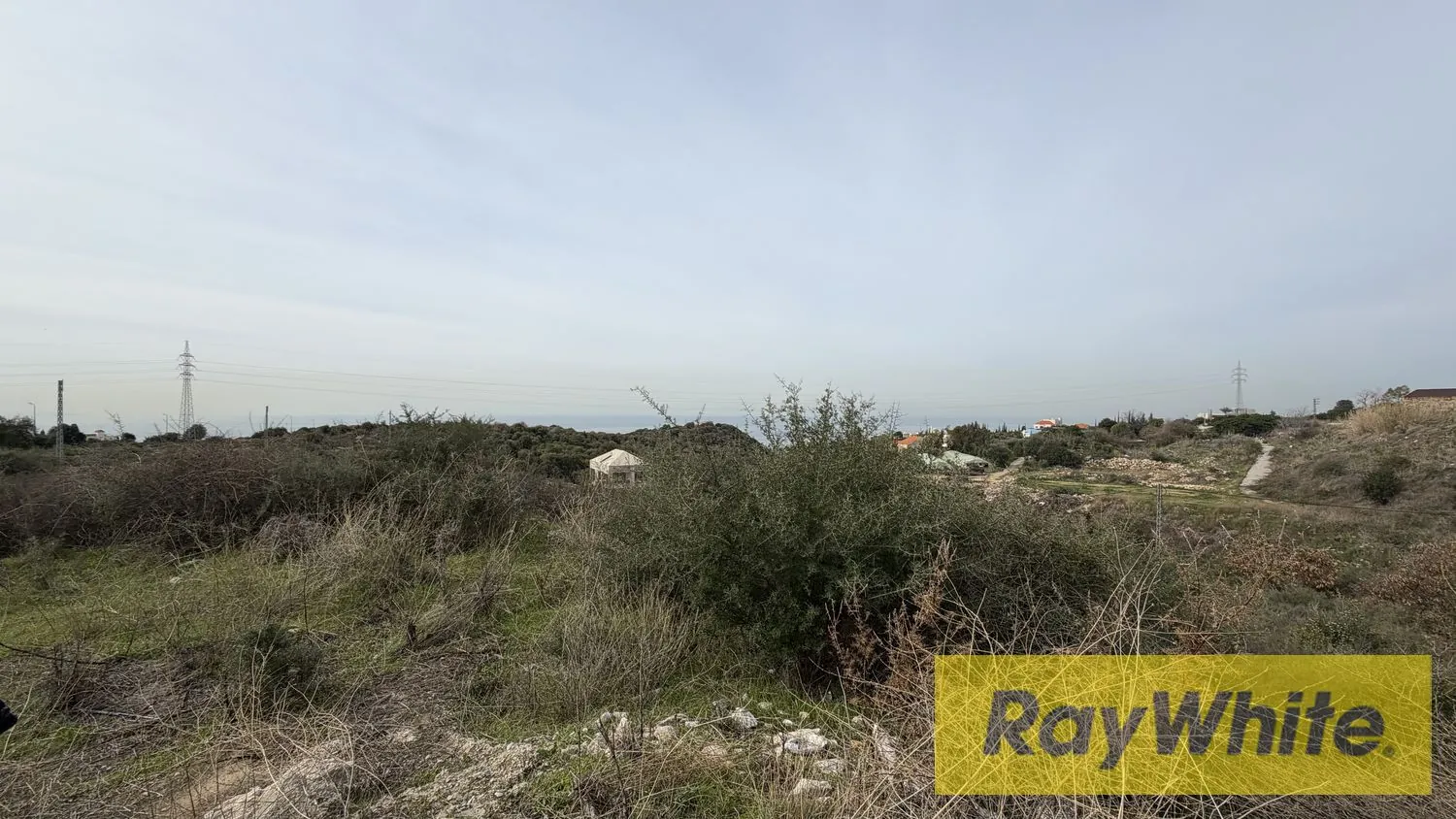 Land For Sale In Edde Jbeil — الصورة 5