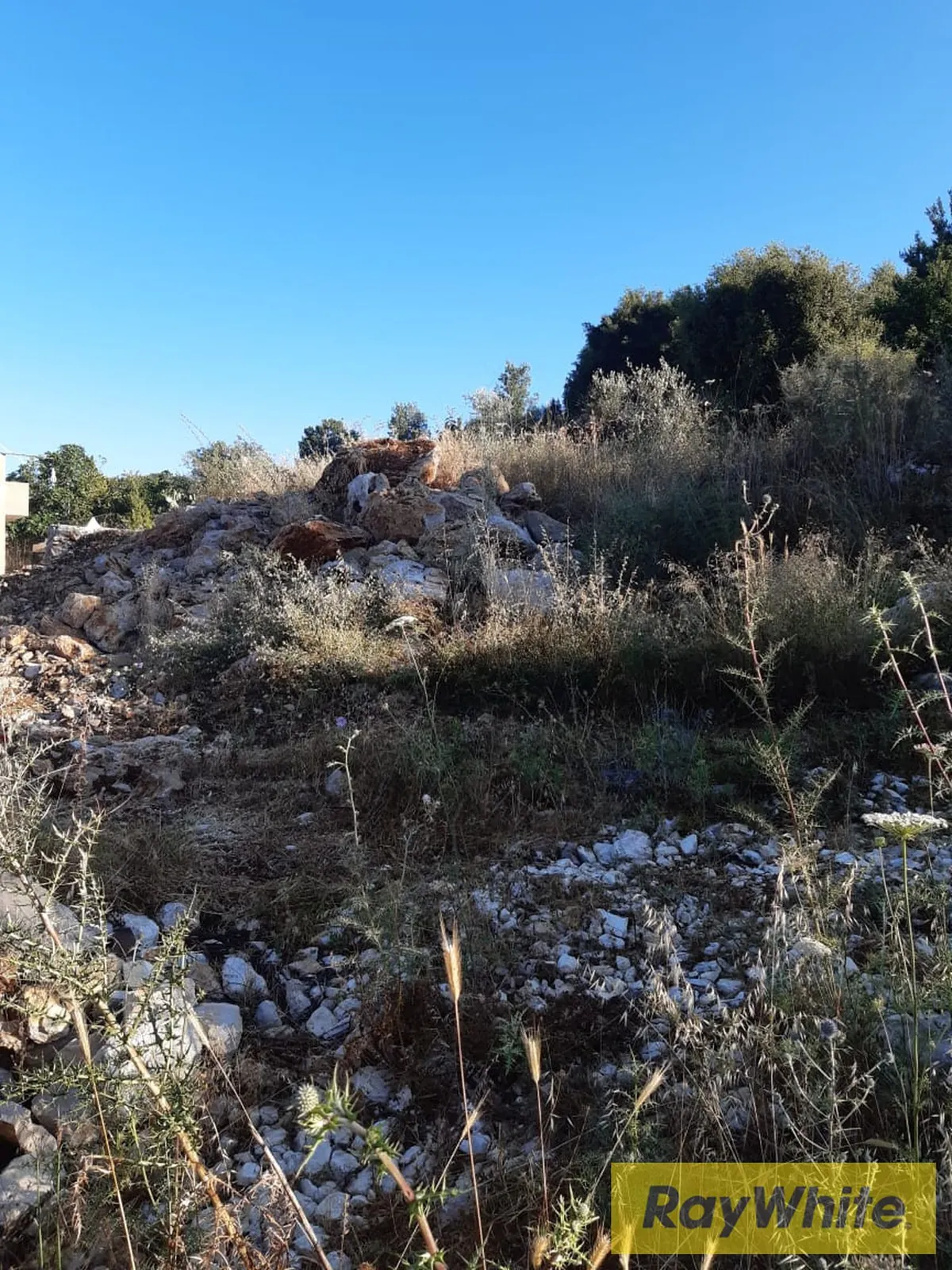 Land For Sale In Jbeil – Mechen — الصورة 3