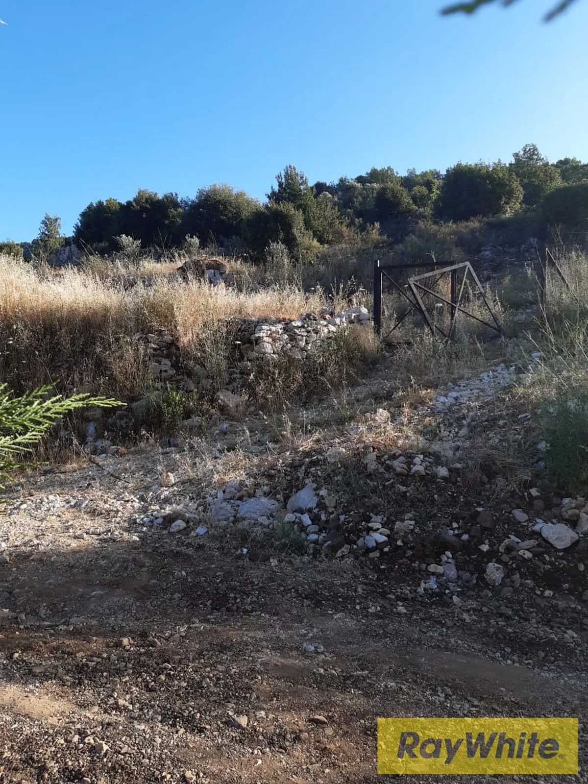 Land For Sale In Jbeil – Mechen — الصورة 4