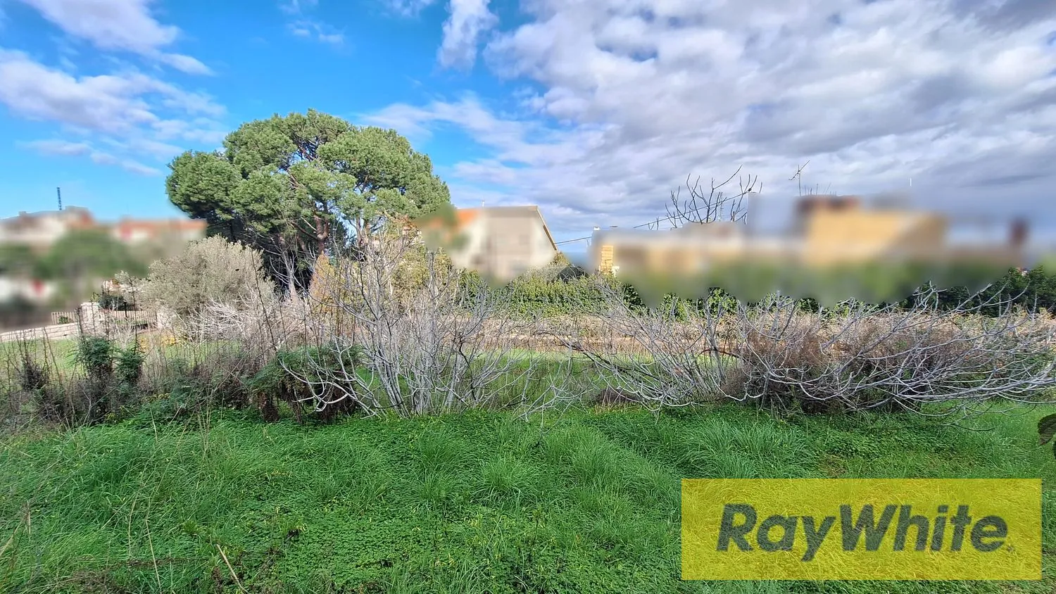 Land For Sale In Roumieh – 1,220 Sqm