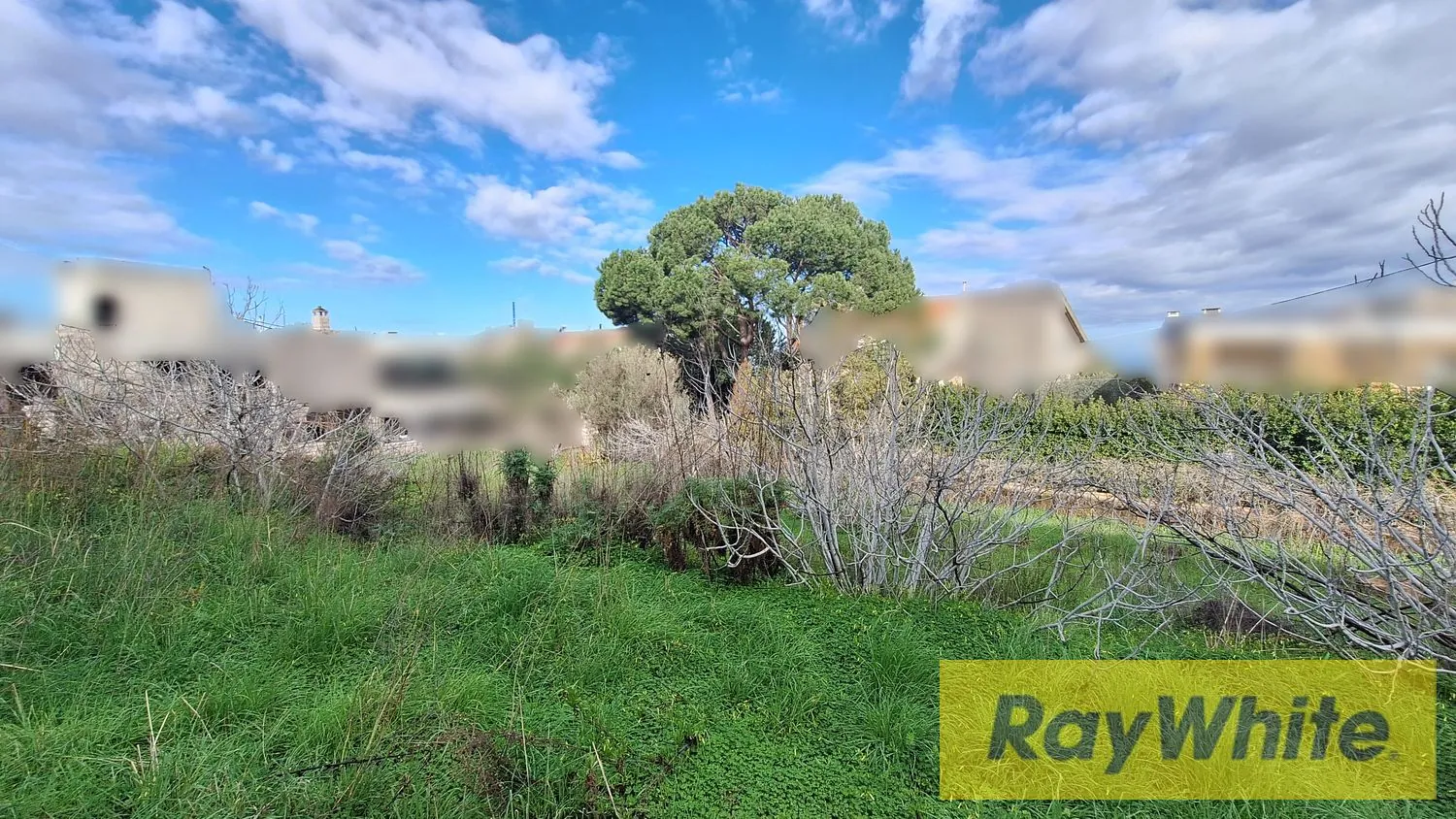Land For Sale In Roumieh – 1,220 Sqm — photo 2