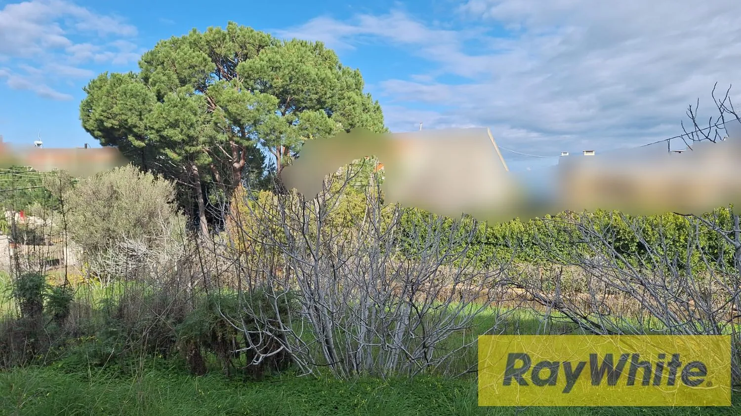 Land For Sale In Roumieh – 1,220 Sqm — photo 3