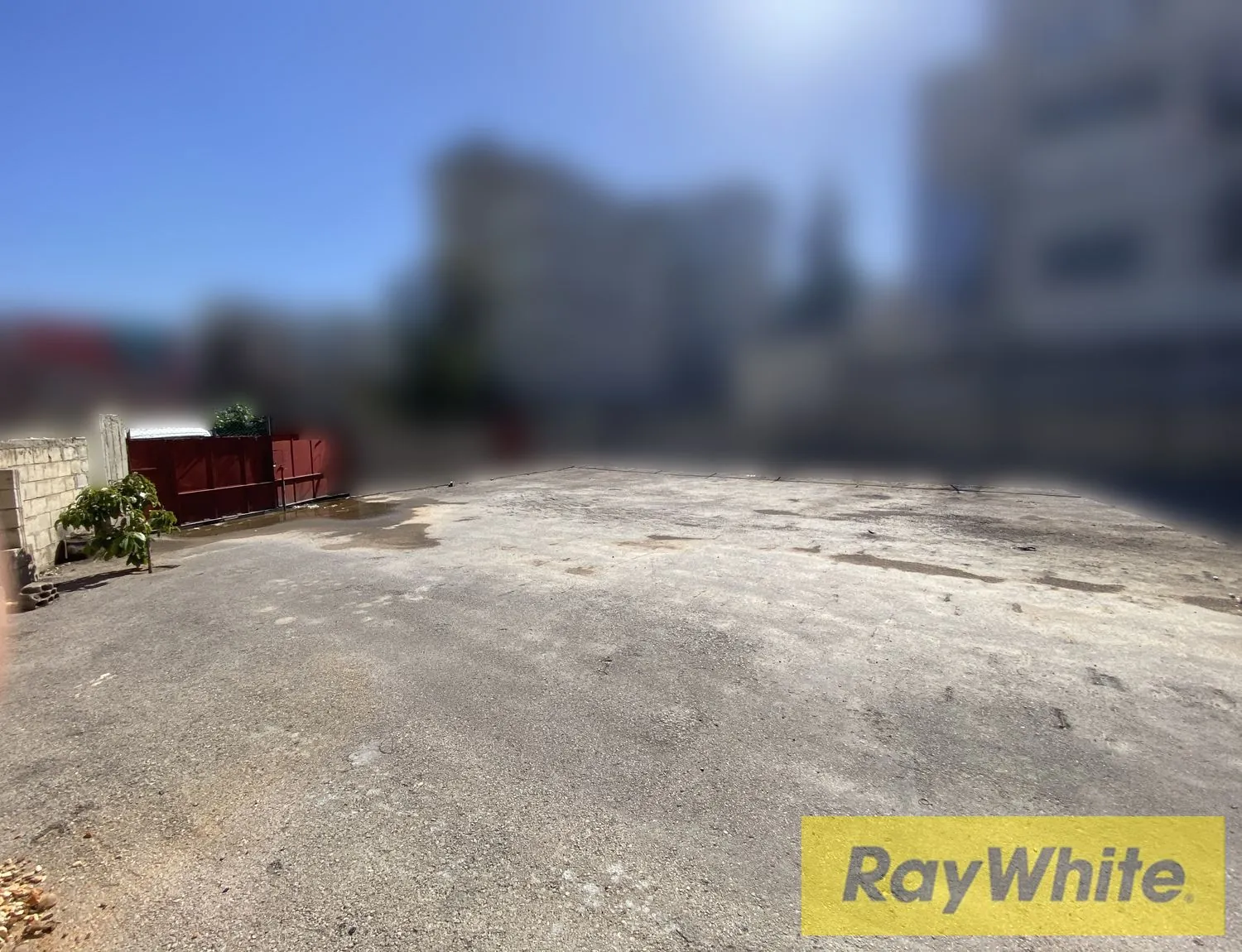 Land For Rent In Dora – 800 Sqm — photo 2