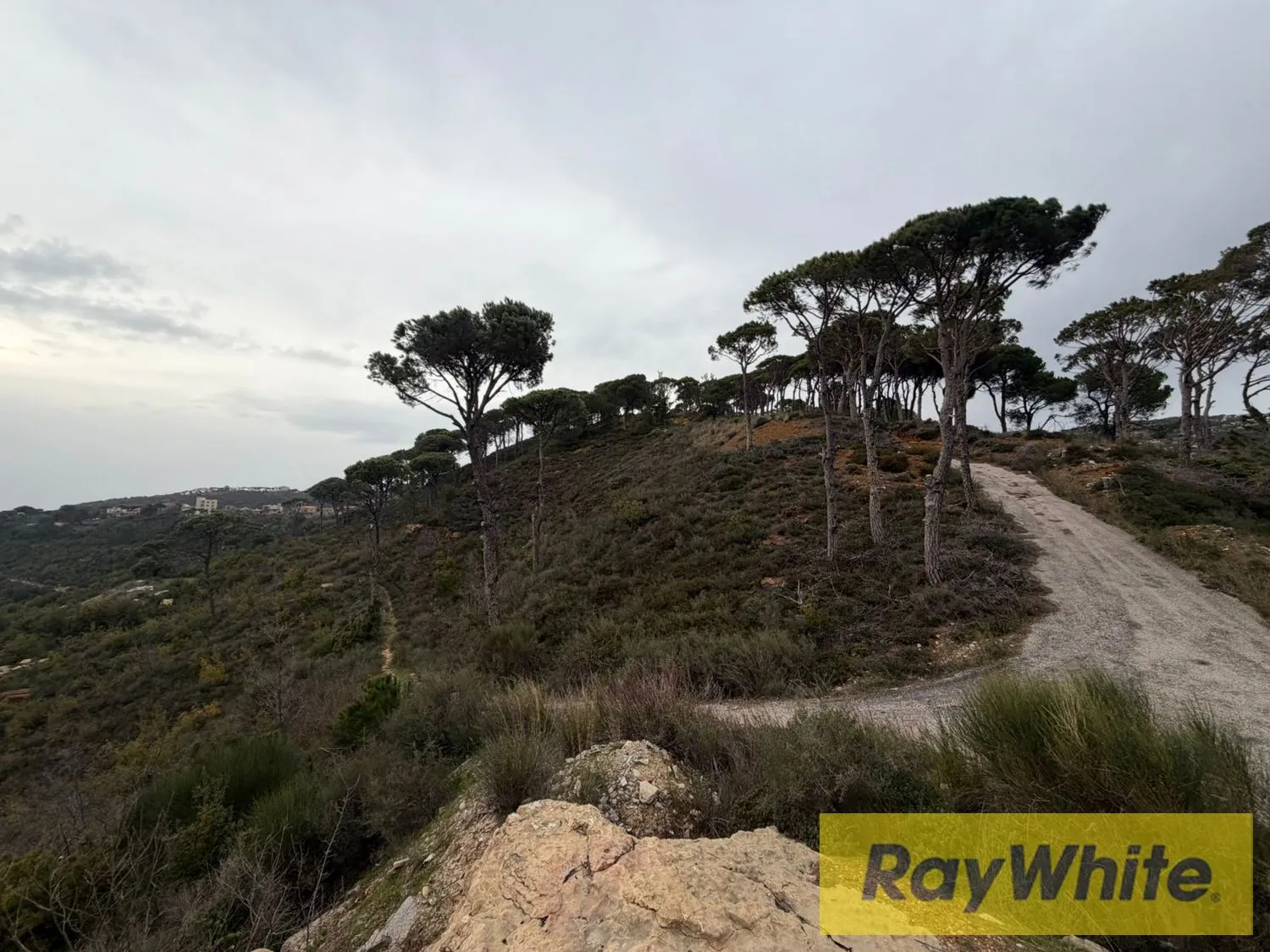 Douar Land 2880 Sqm Panoramic Views — الصورة 4