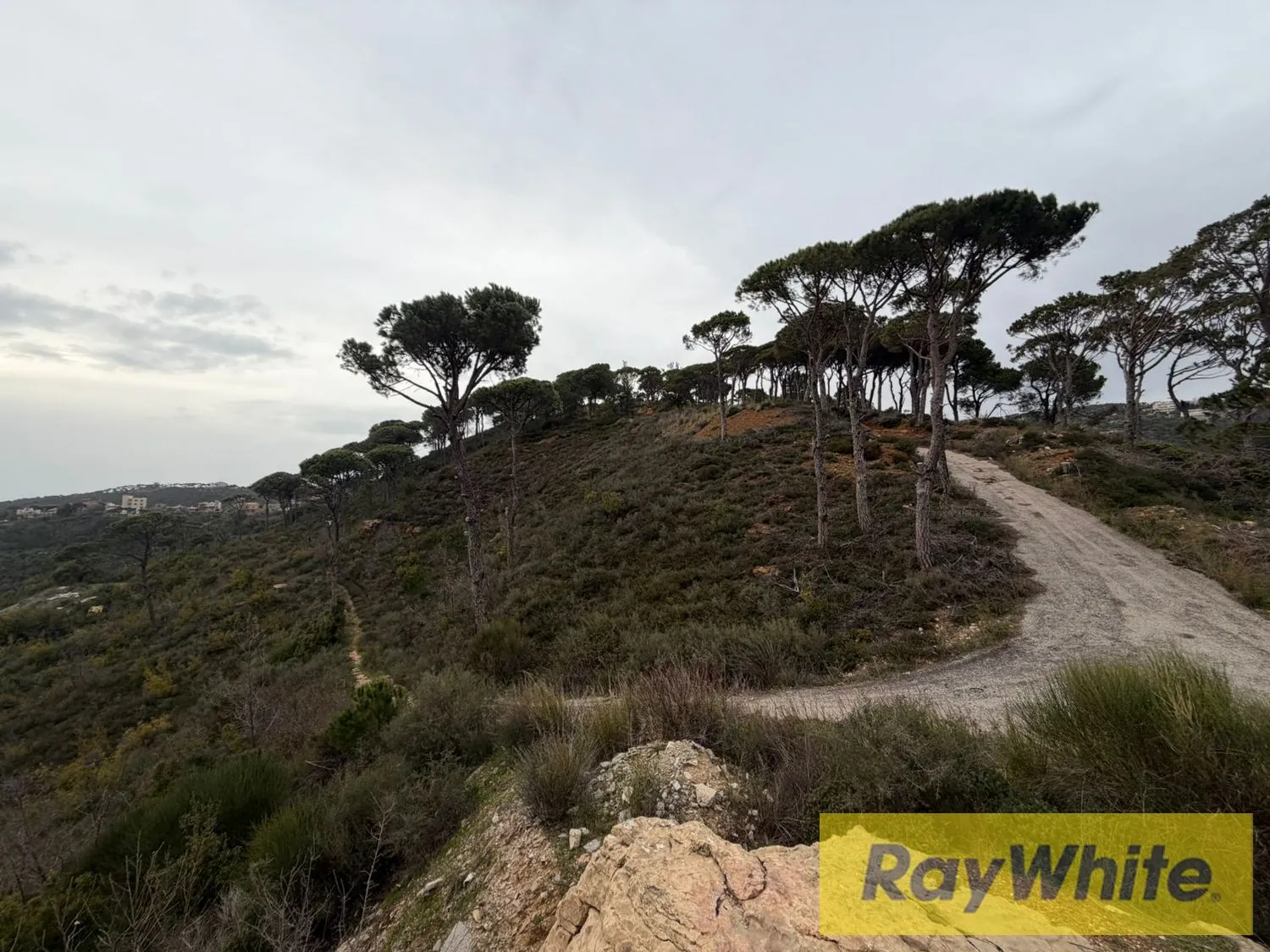 Douar Land 2880 Sqm Panoramic Views — الصورة 5