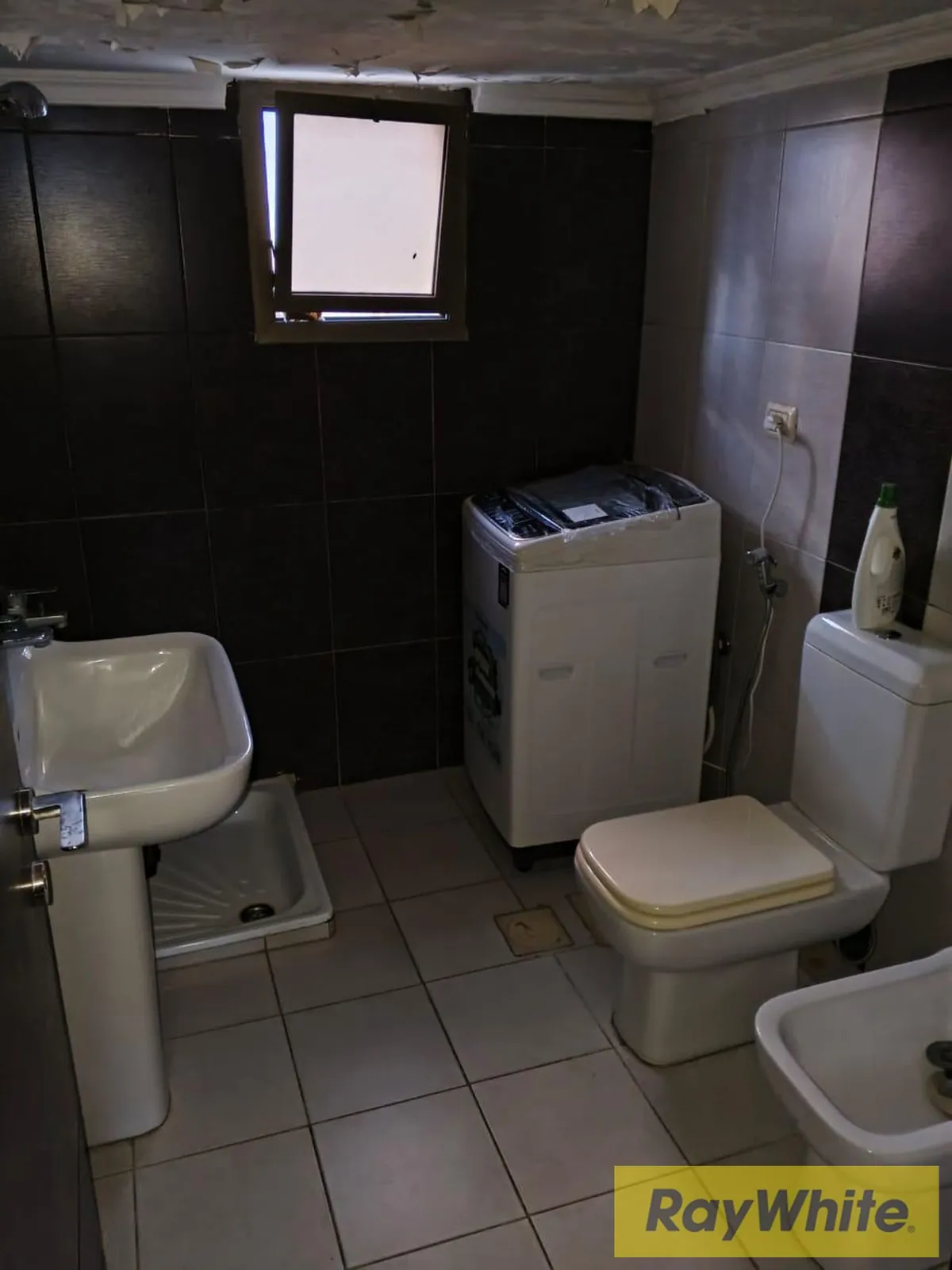 Apartment For Rent In Ain El Remmaneh – 194 Sqm | Furnished — الصورة 3