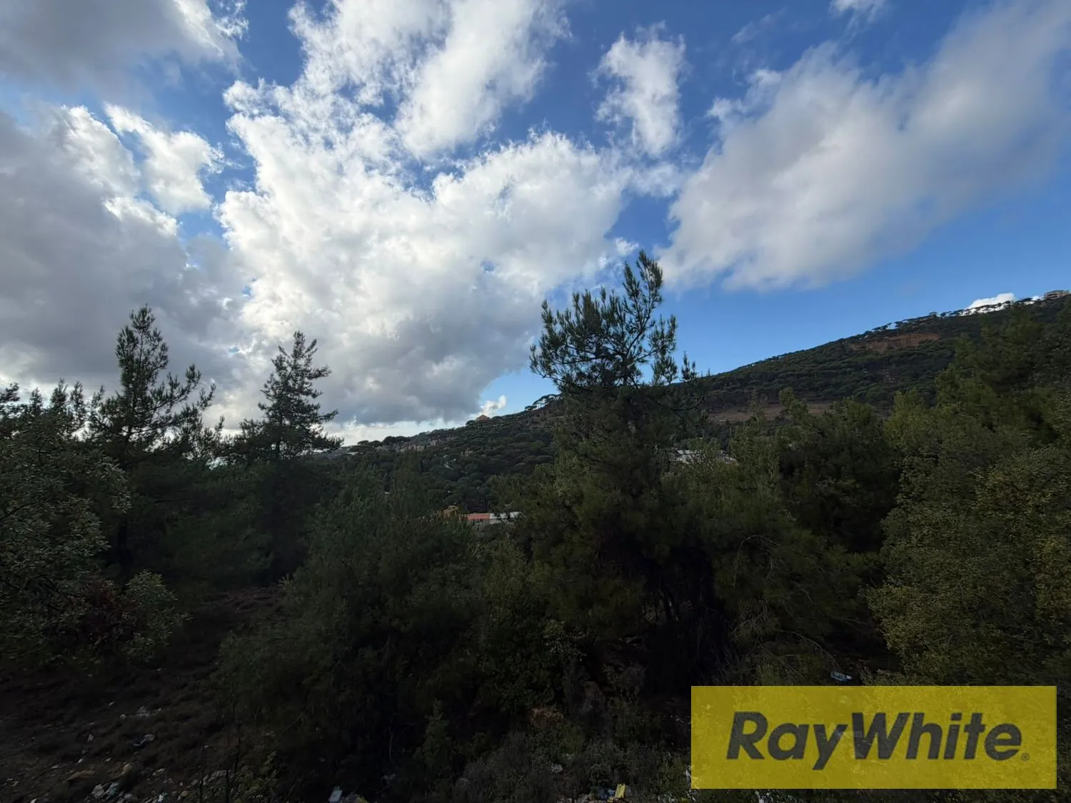 Land For Sale In Mar Moussa – 1,000 Sqm | Open View — photo 2