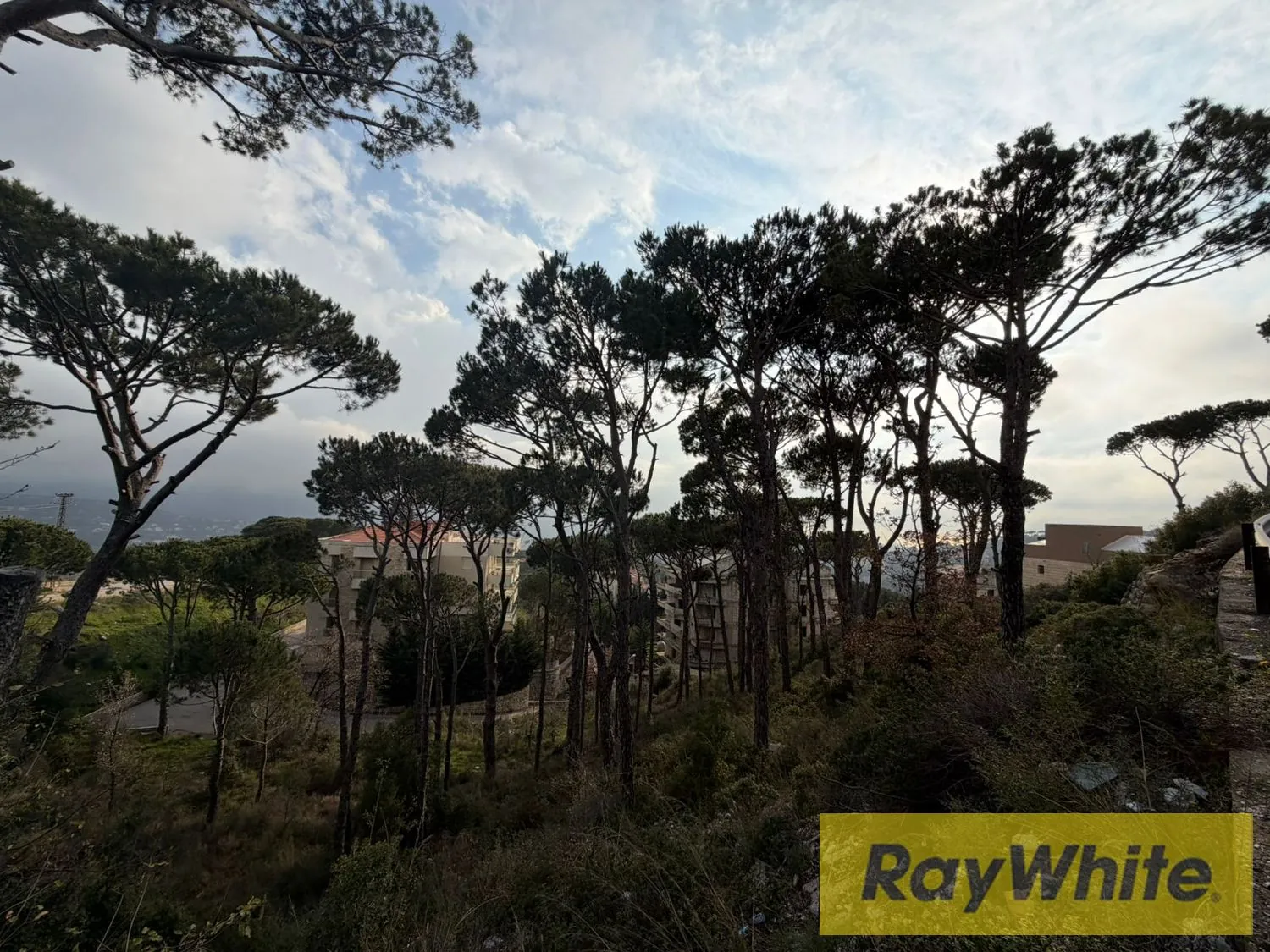 Land For Sale In Mar Moussa – 1,313 Sqm — الصورة 2