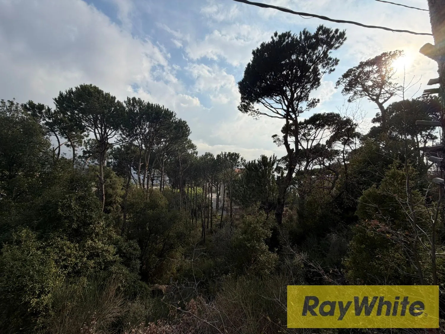Land For Sale In Mar Moussa – 1,313 Sqm — الصورة 3