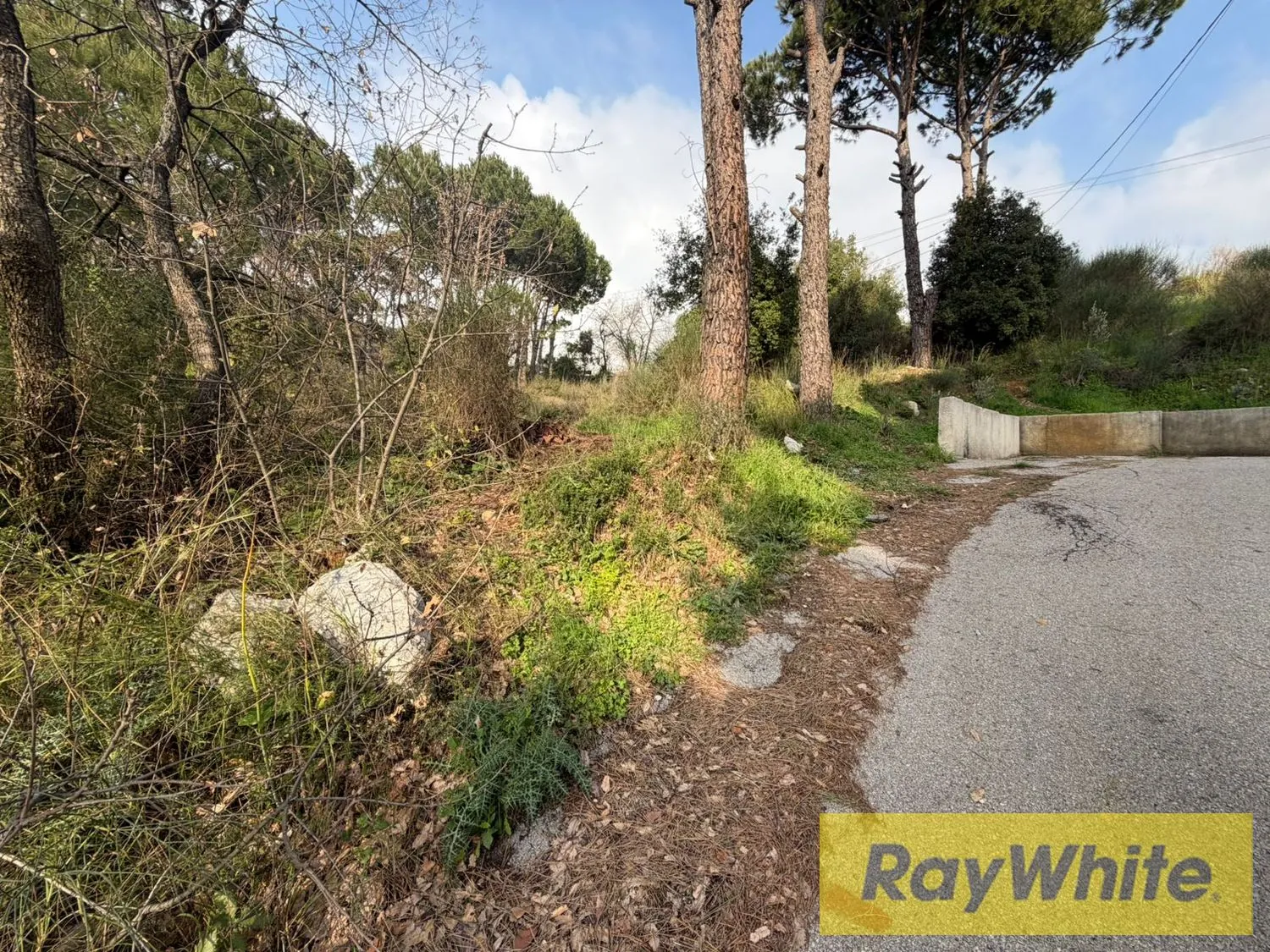 Land For Sale In Mar Moussa – 1,313 Sqm — الصورة 4