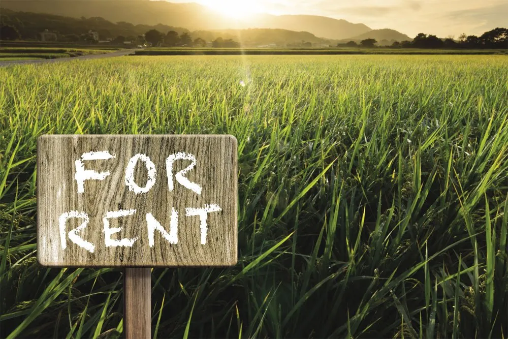 Land For Rent In Horch Tabet