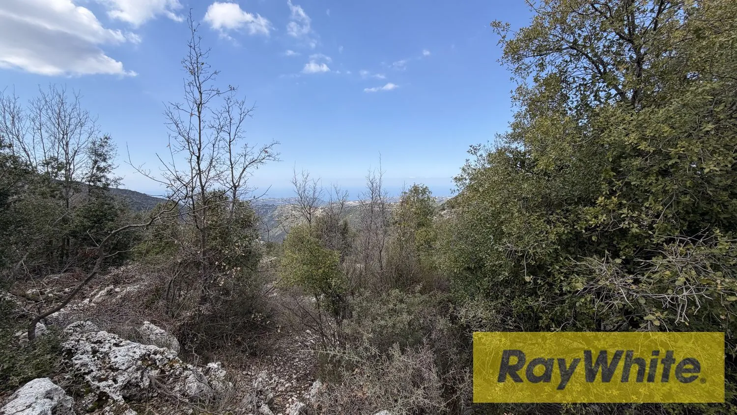Land For Sale In Lehfed Jbeil — photo 2