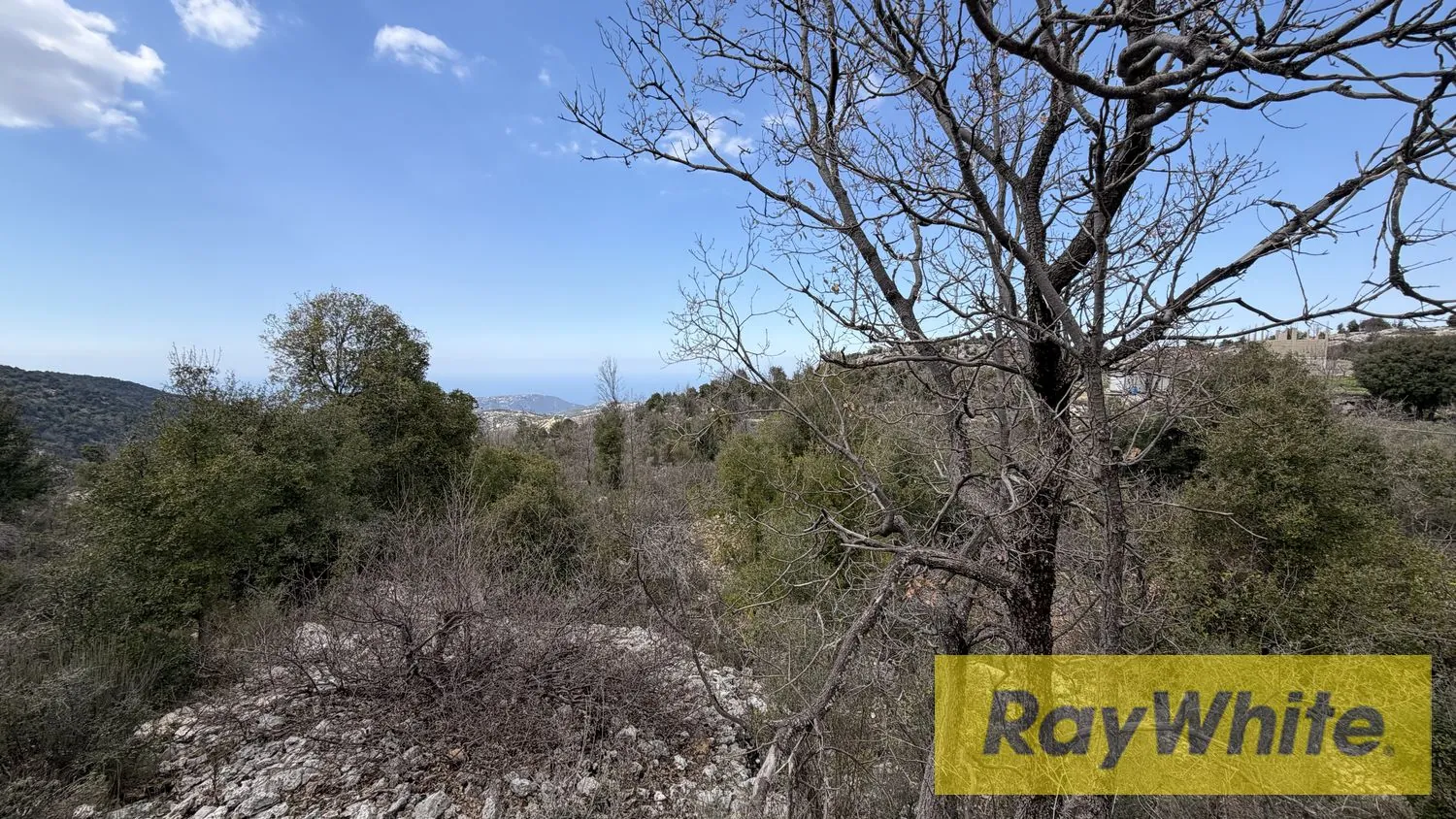 Land For Sale In Lehfed Jbeil — photo 3