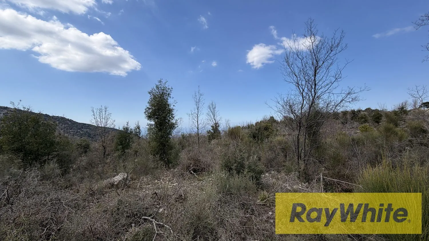 Land For Sale In Lehfed Jbeil — photo 4