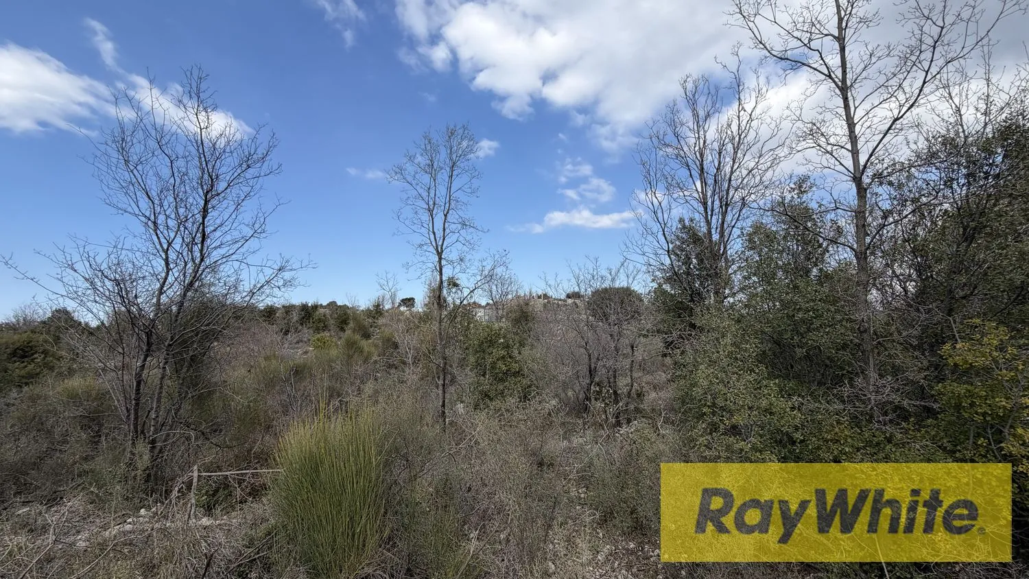 Land For Sale In Lehfed Jbeil — photo 5
