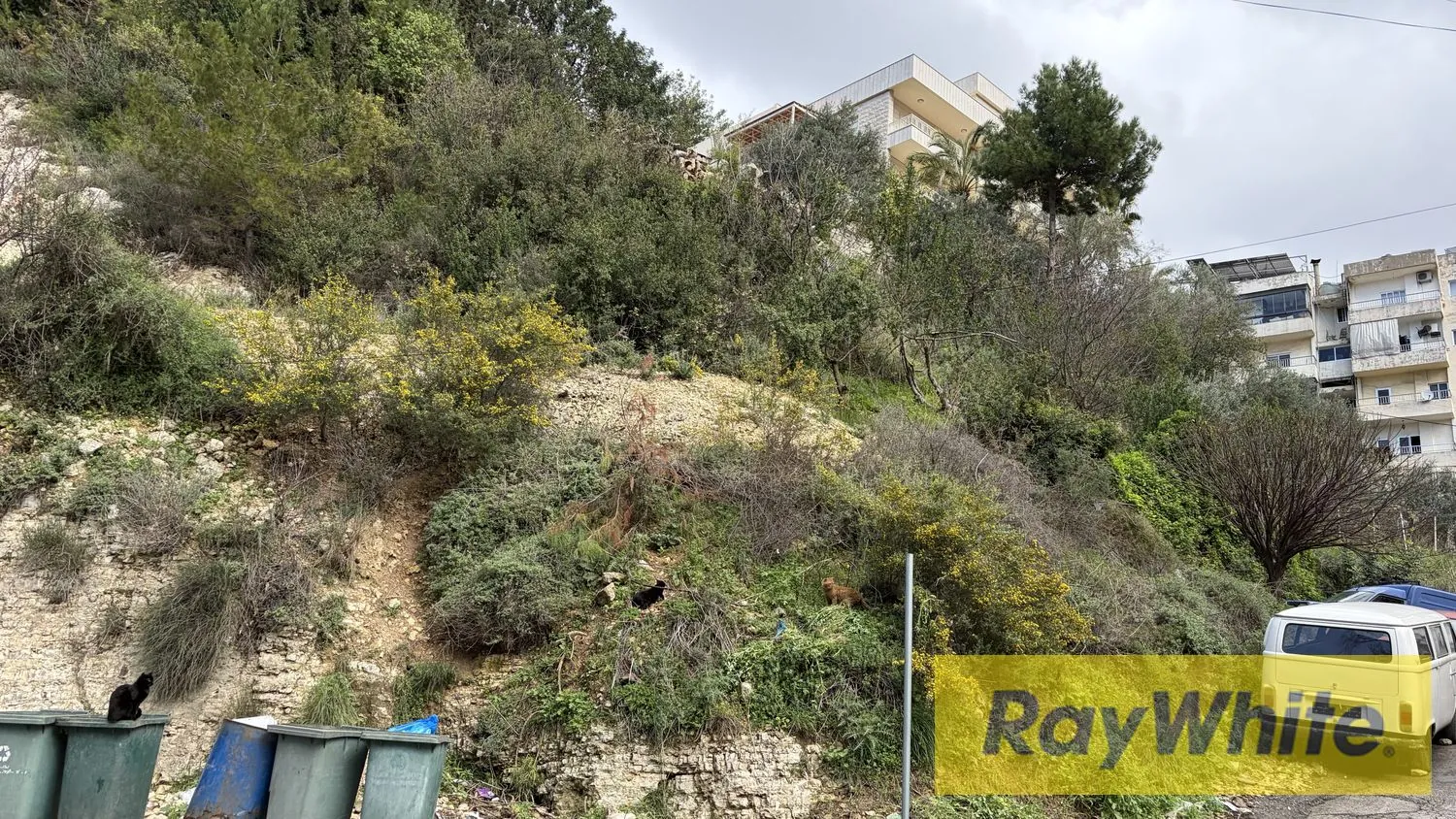 Land For Sale In Blat Jbeil — photo 2