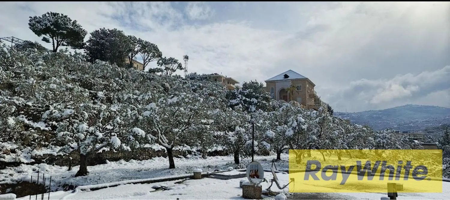 Land For Sale In Batroun – Derya — الصورة 2
