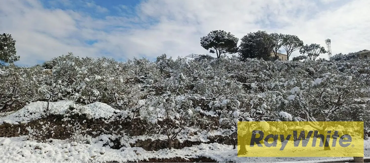 Land For Sale In Batroun – Derya — الصورة 3