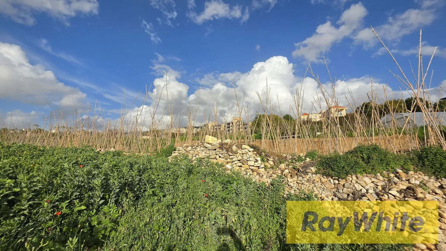 Land For Sale In Halat Jbeil — الصورة 2