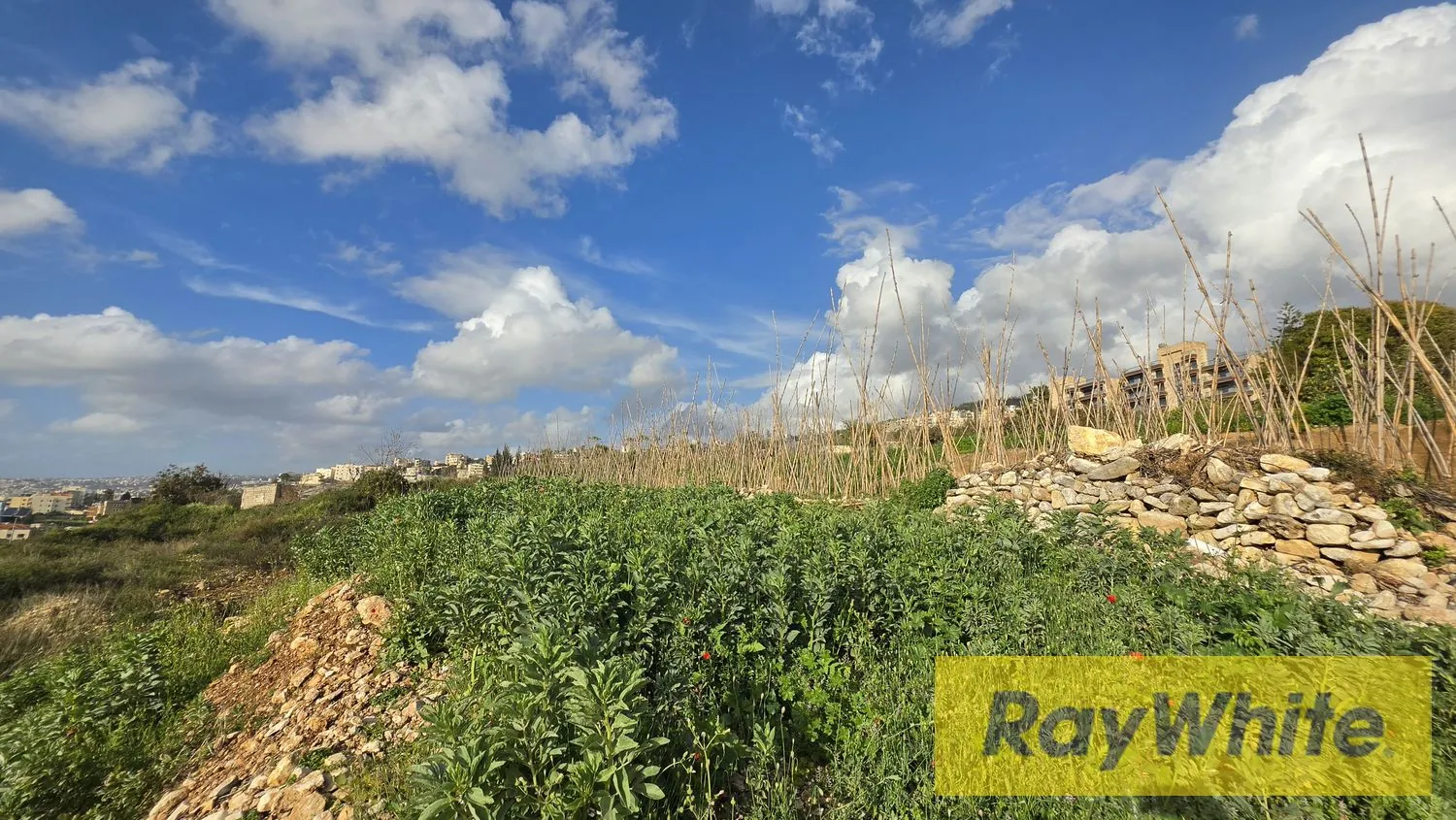 Land For Sale In Halat Jbeil — الصورة 3