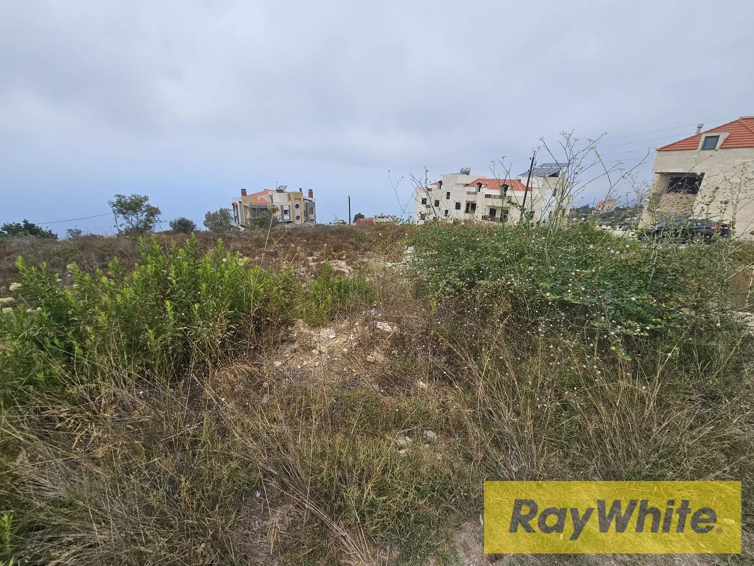 Land For Sale In Halat Jbeil