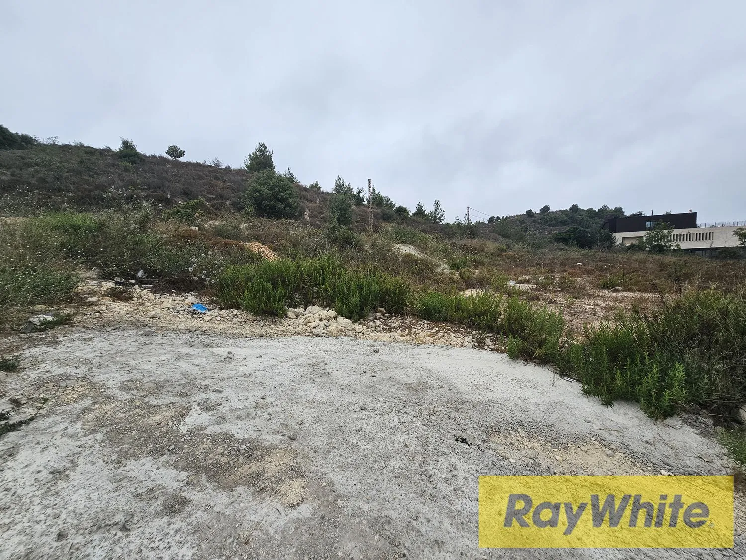 Land For Sale In Halat Jbeil — الصورة 2