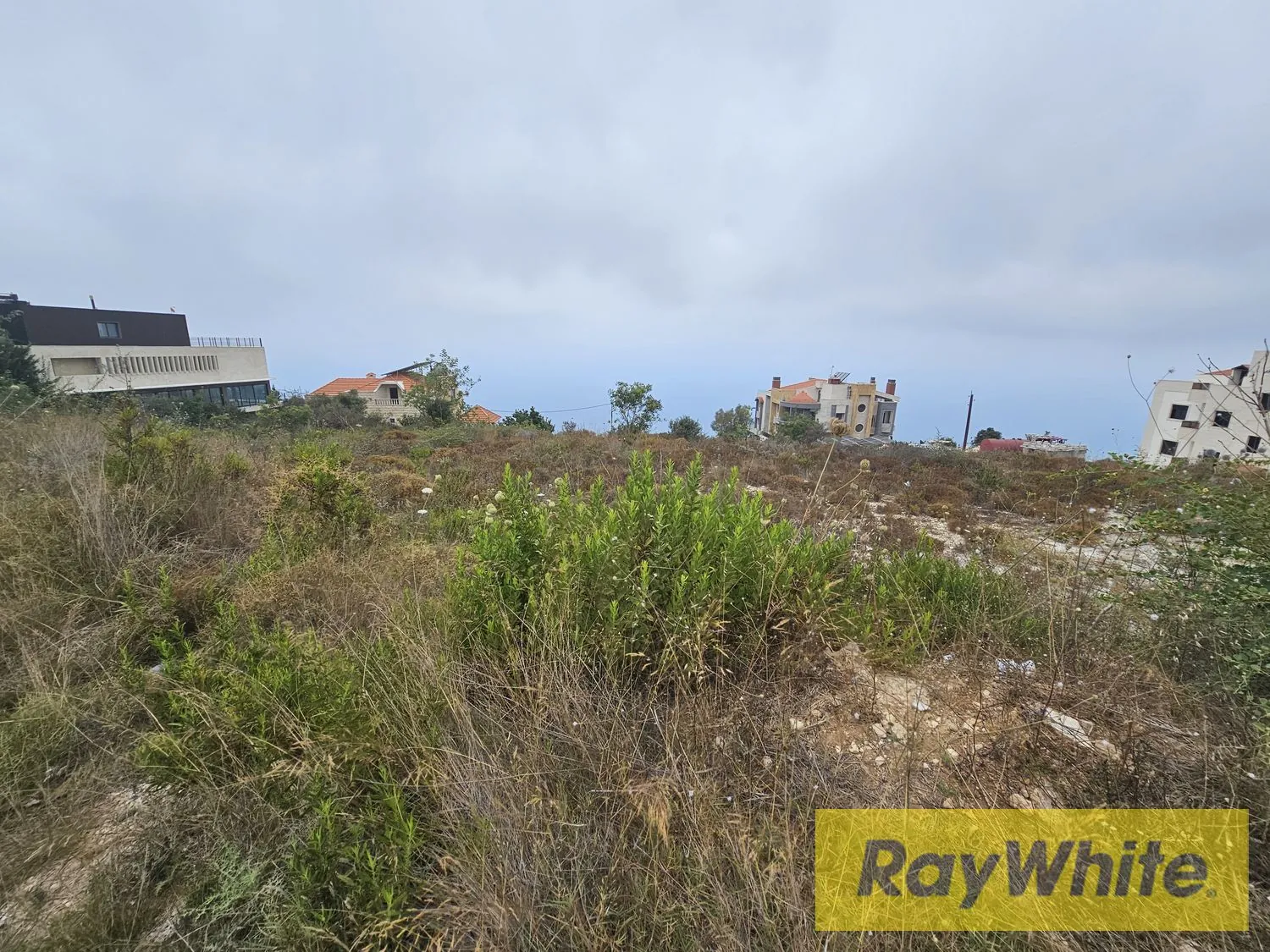 Land For Sale In Halat Jbeil — الصورة 3