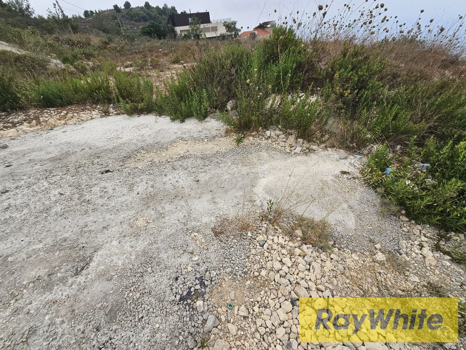 Land For Sale In Halat Jbeil — الصورة 4