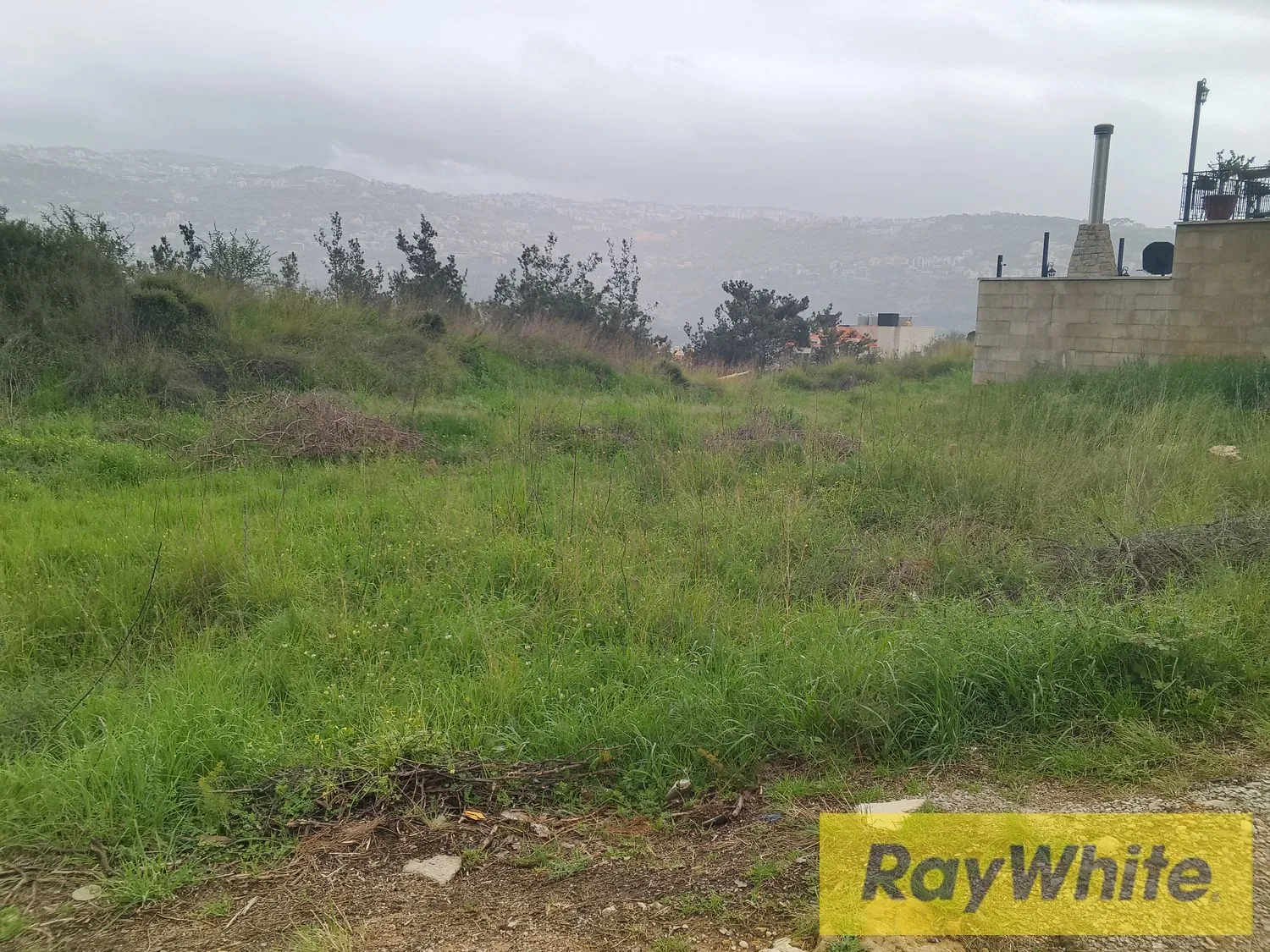 Land For Sale In Monteverde – 920 Sqm