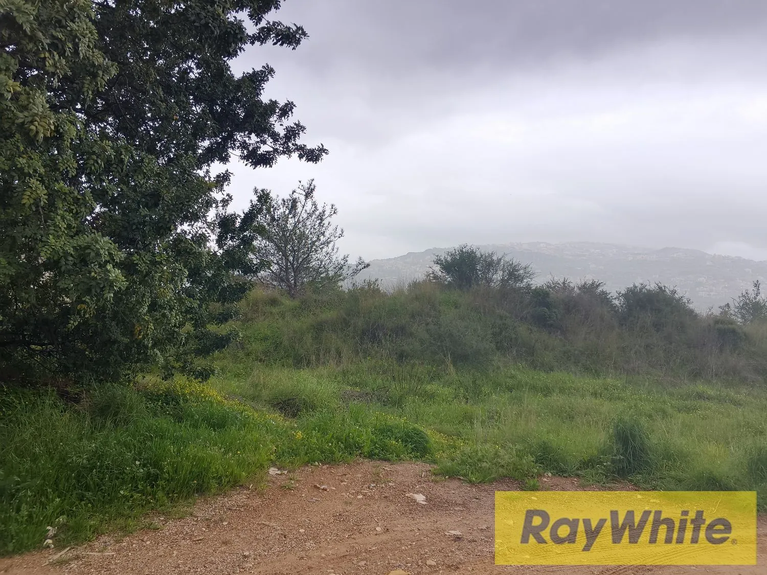 Land For Sale In Monteverde – 920 Sqm — الصورة 2