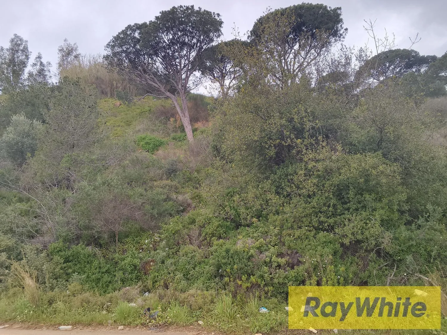 Land For Sale In Monteverde – 920 Sqm — الصورة 3