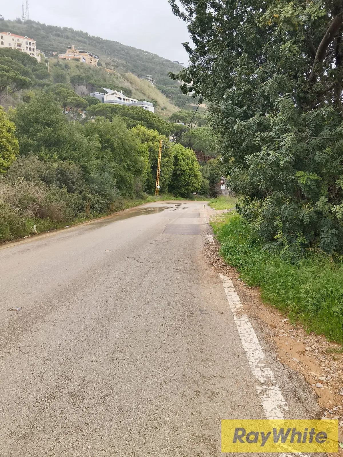 Land For Sale In Monteverde – 920 Sqm — الصورة 4