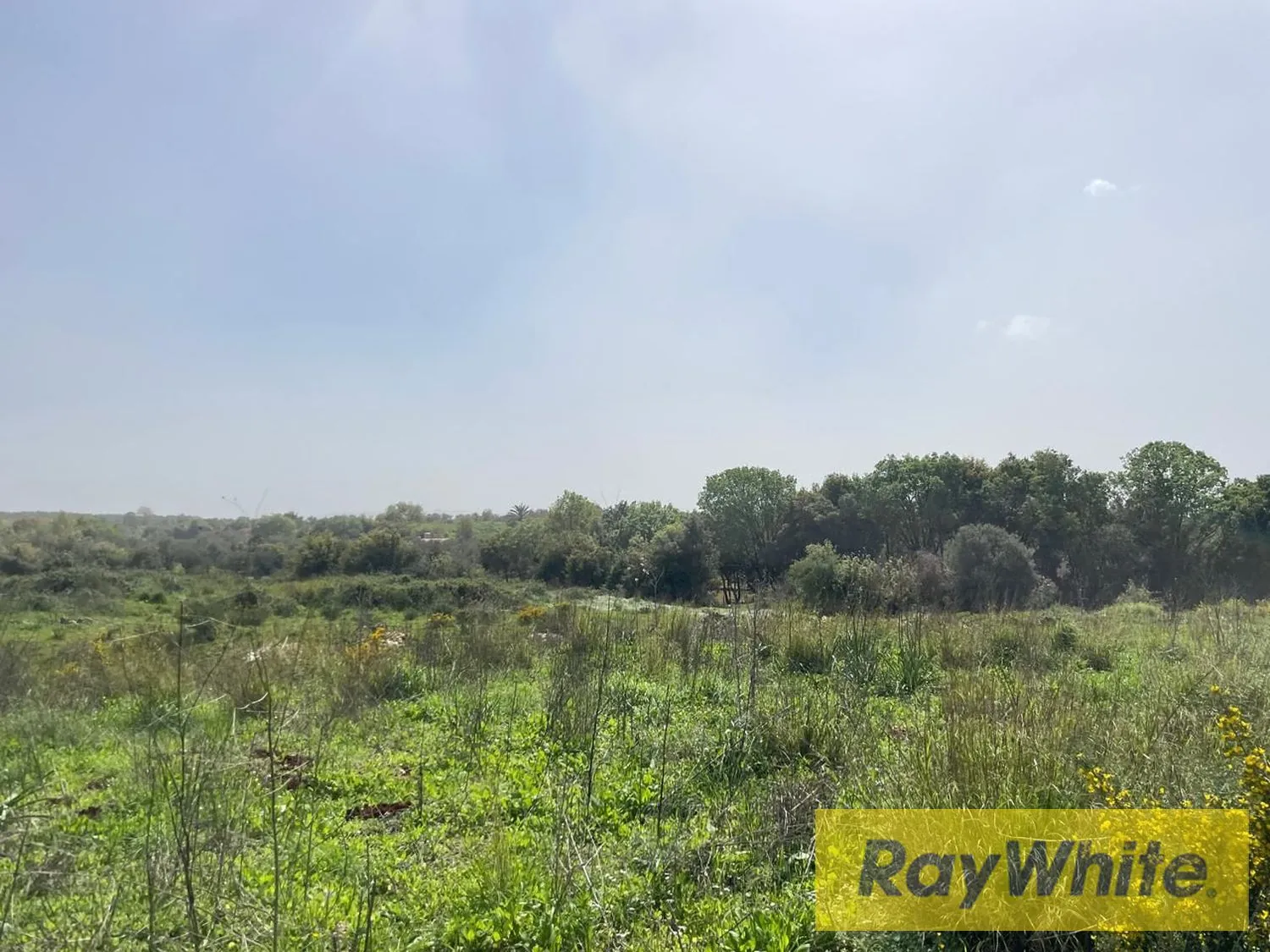 Land For Sale In Bterram Koura — الصورة 2