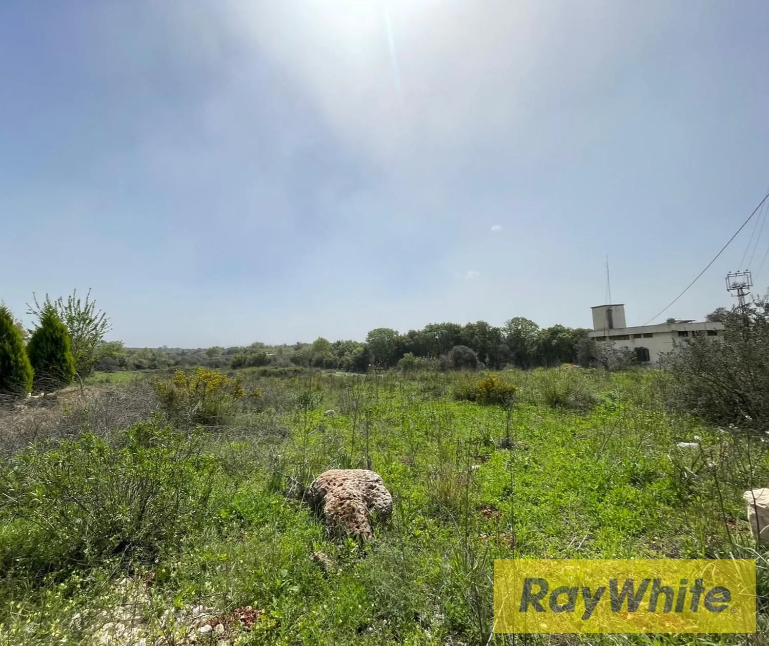 Land For Sale In Bterram Koura — الصورة 3