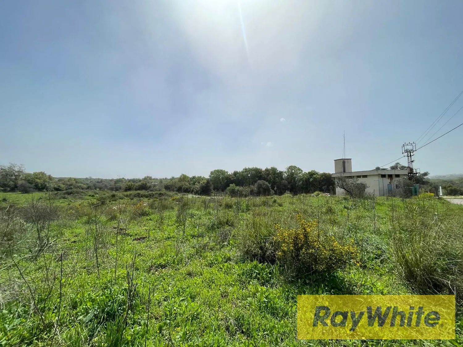 Land For Sale In Bterram Koura — الصورة 4
