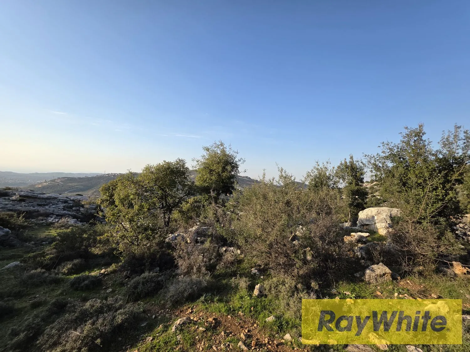 Land For Sale In Rechdebbine Koura