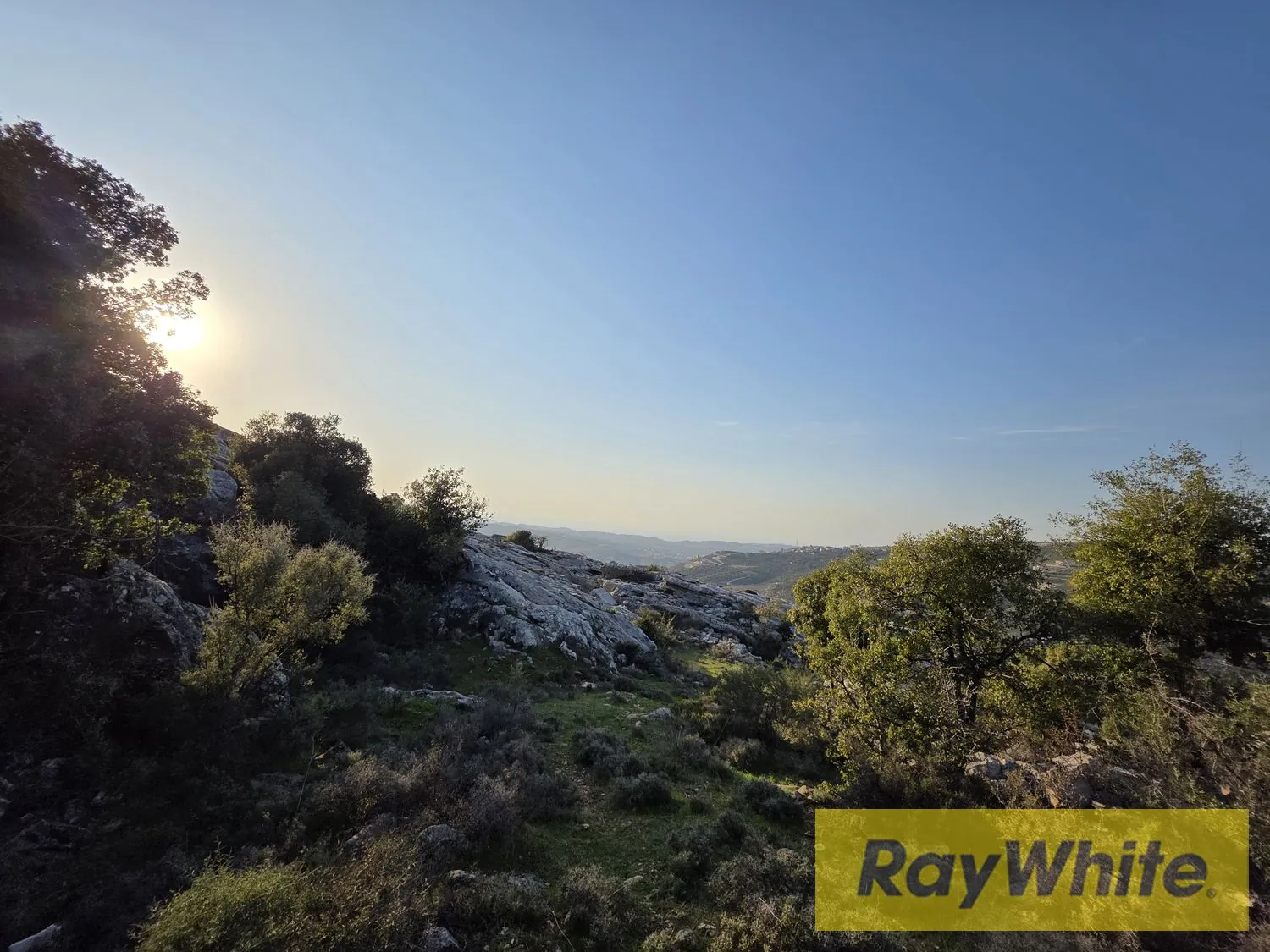 Land For Sale In Rechdebbine Koura — الصورة 2