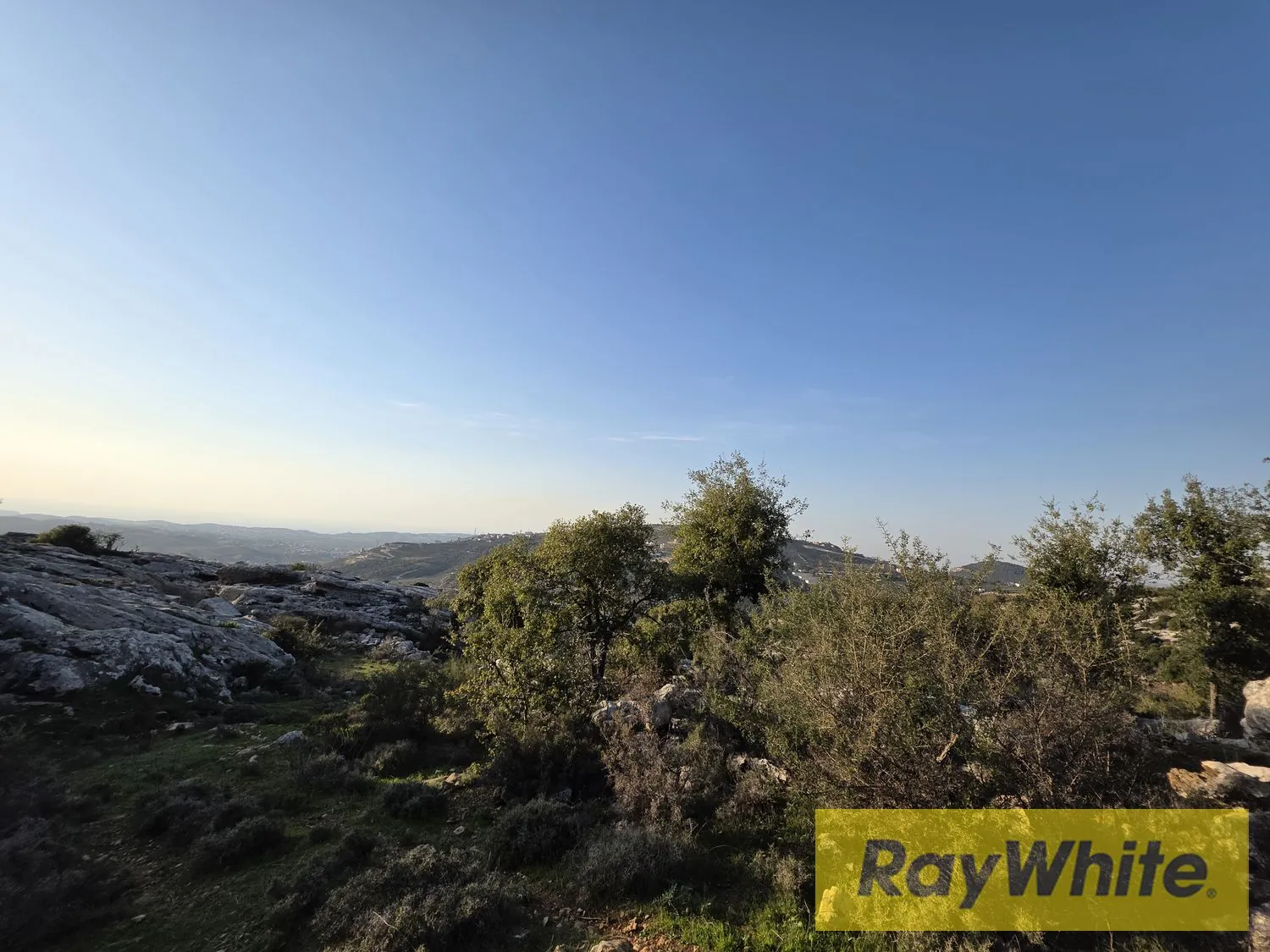Land For Sale In Rechdebbine Koura — الصورة 3