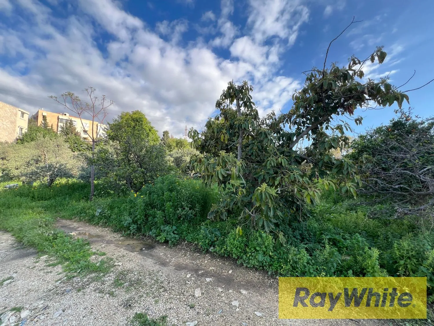 Land For Sale In Amchit Jbeil
