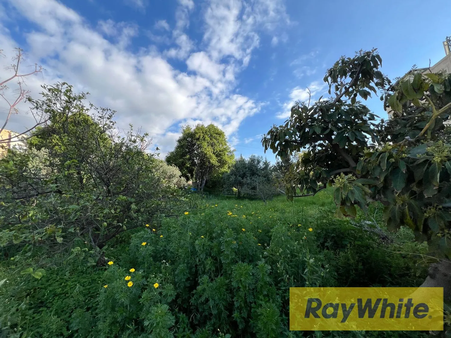 Land For Sale In Amchit Jbeil — الصورة 3