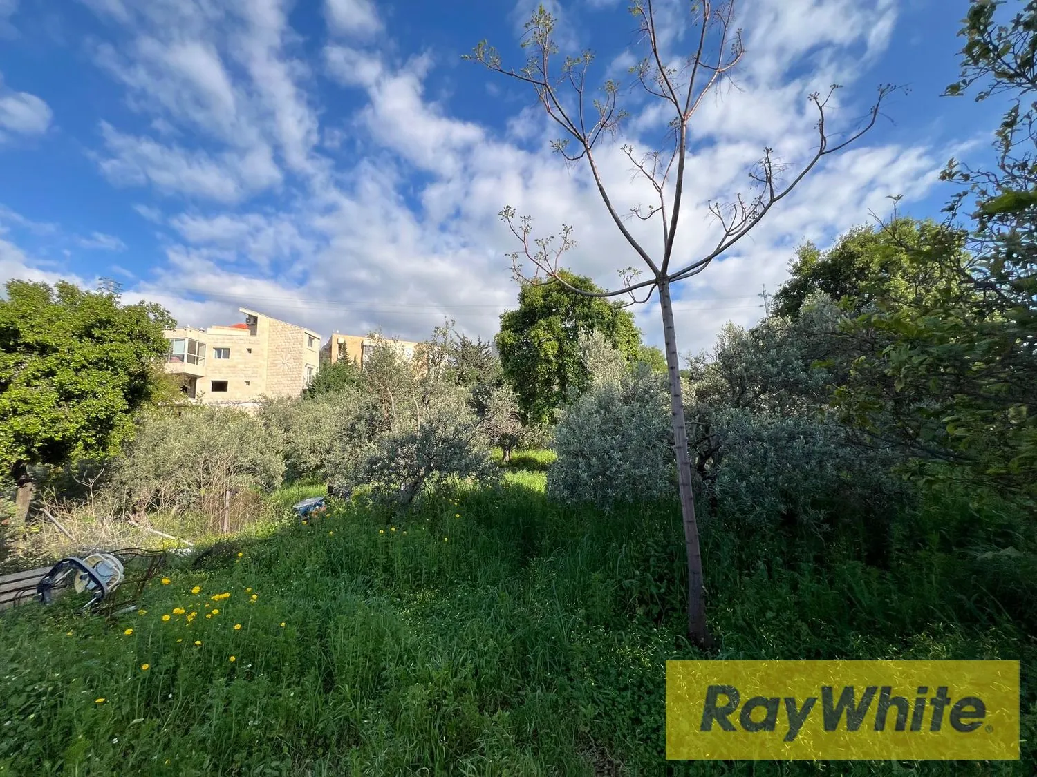 Land For Sale In Amchit Jbeil — الصورة 4