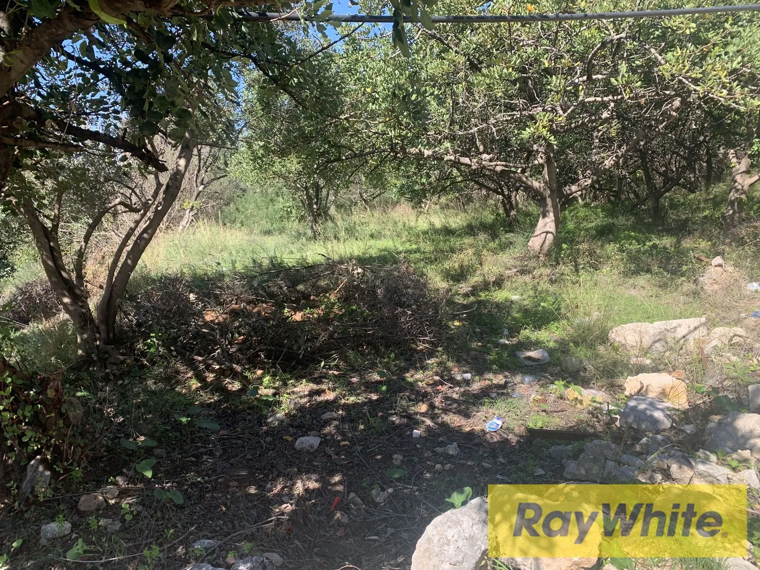 Land For Rent In Amchit Jbeil — الصورة 2