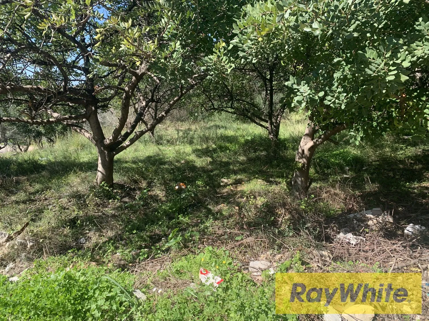 Land For Rent In Amchit Jbeil — الصورة 3
